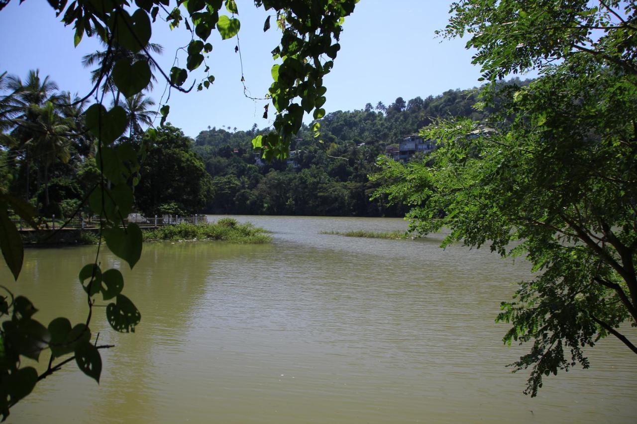Mahaweli Shades Hotel Kandy Exterior photo